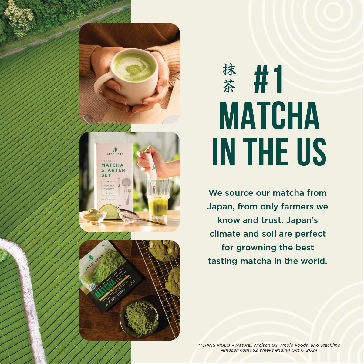 Jade Leaf Ceremonial Grade Matcha Powder, First Harverst, 100g / 3.53oz Tin