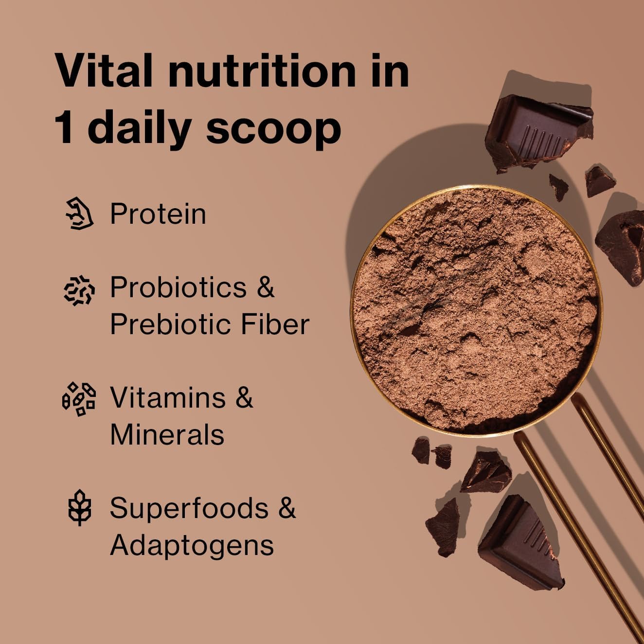 Beachbody BODi Shakeology Whey-Based Protein Powder – Gluten-Free Superfood Shake with Vitamins & Minerals – Helps Support Healthy Weight Loss & Gut Health, Chocolate, 14 Individual Packets