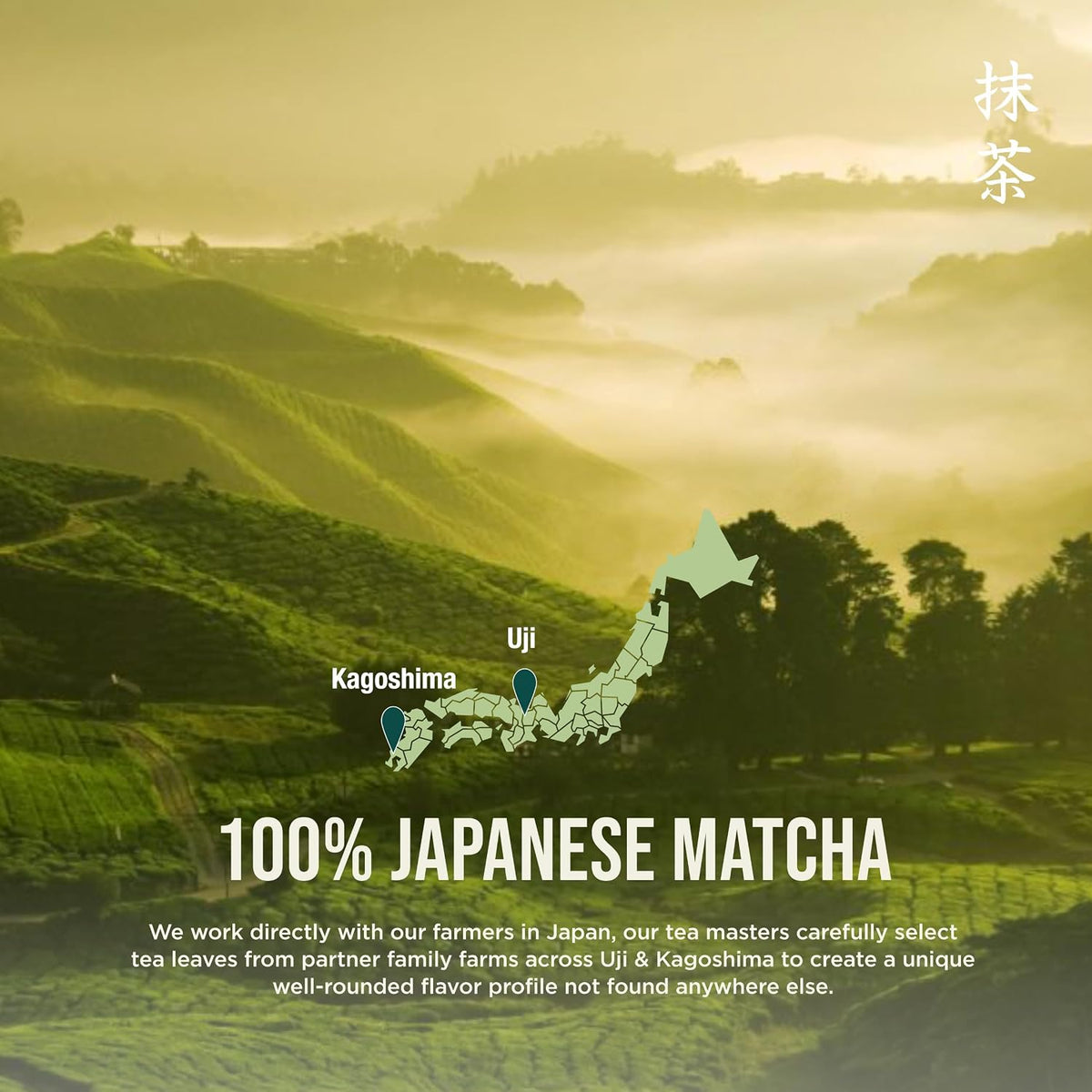 Jade Leaf Ceremonial Grade Matcha Powder, First Harverst, 100g / 3.53oz Tin